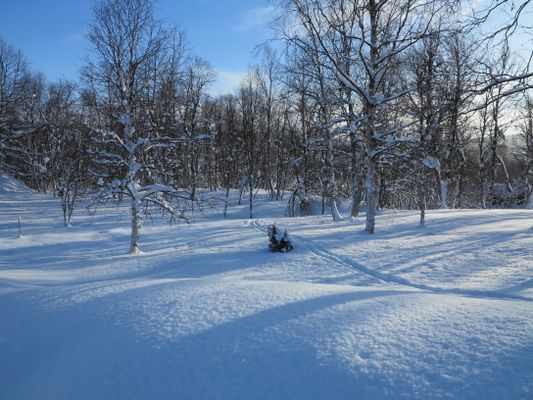 Mysig fjällstuga i Bruksvallarna - Bild 9