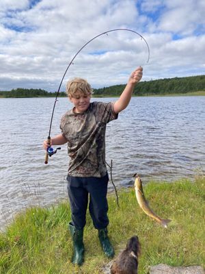 Mysig stuga i Ankarvattnet, Vildmarksvägen - Bild 20