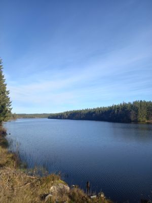 Hundvänligt hus nära sjön, inhägnat Värmland - Bild 7