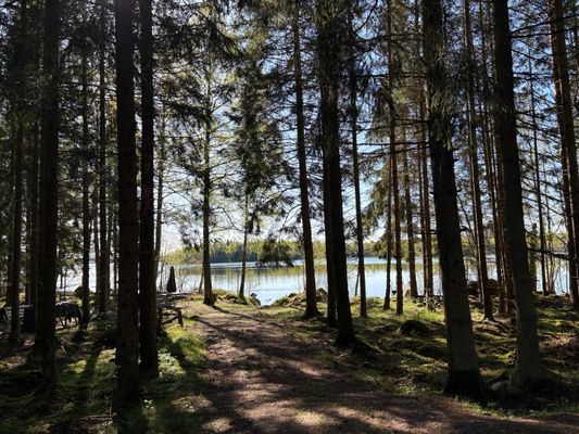 Nybyggd stuga i Småland - Bild 16