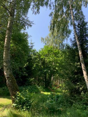 Sommarstuga vid Vätterns strand - Bild 9