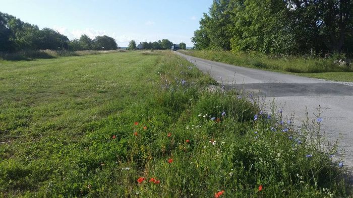 Sjönära boende i Ronehamn på sydöstra Gotland - Bild 18