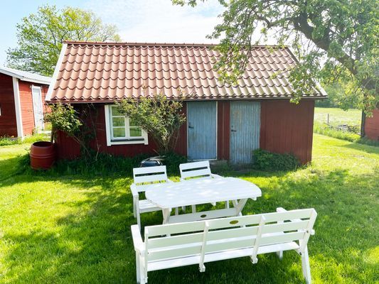 Stuga på Öland med betande får ISE04033 - Bild 14