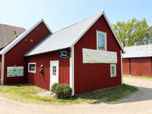 Stuga på Öland med betande får ISE04033