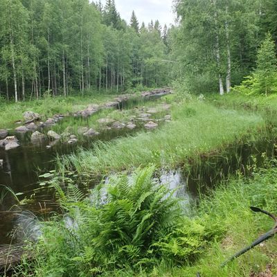 Avskilt stugboende i vackra Hälsingland! - Bild 6