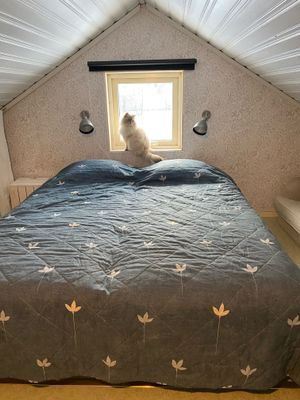 Mysig stuga på landet, 4-6 bäddar, hund välkommen - Bild 27