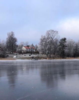 Blankis på viken