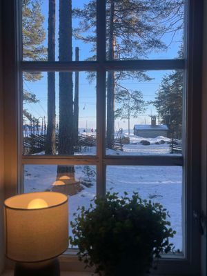 Ski in out stuga - Bild 17