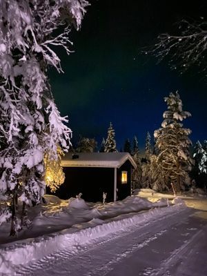 Fjällstuga i Grövelsjön - Bild 23