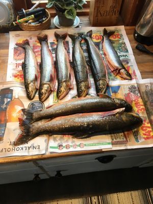 Vackra kultsjödalen Saxnäs - Bild 14