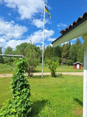 Bolyckan; småländsk avskildhet när den är som bäst - Bild 45