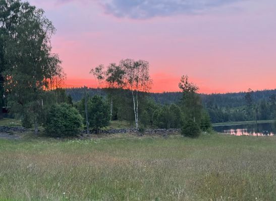 Njut av naturen inomhus och utomhus - Bild 17