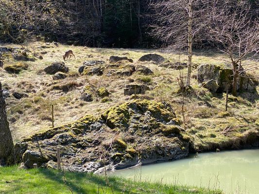 Stuga "Vena Berg" - Bild 25