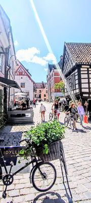 VISBY innanför murarna med Terass och innergård - Bild 22
