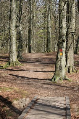 Sågarestugan - Bild 12