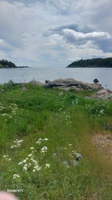 Paradis på Singö i Roslagen - Bild 17
