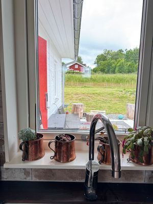Bild 4 på Njut av naturen inomhus och utomhus