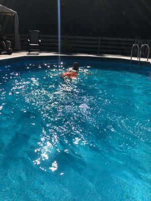 Mysig stuga med uppvärmd pool och bastu - Bild 28
