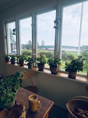 Hundvänligt familjeparadis mitt i Norrfällsviken - Bild 6