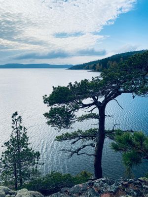 Hundvänligt familjeparadis mitt i Norrfällsviken - Bild 17