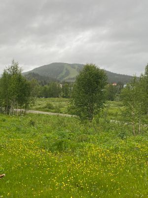 🌲 Fjälldröm i Ammarnäs – Rymligt hus för den stor - Bild 8