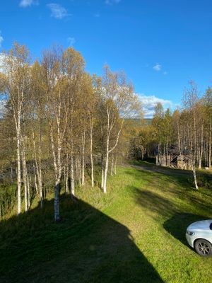 Hyr denna stuga i Ammarnäs på 90 m². 6-10 sängplatser. 6 500 - 9 500 kr per vecka. Se bilder och tillgänglighet här.