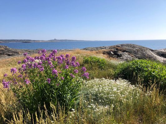Åstol-semesterboende vid havet - Bild 9