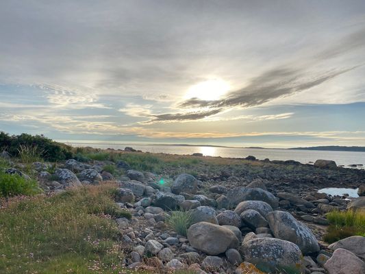 Mysig nybyggd lägenhet nära havet - Bild 13