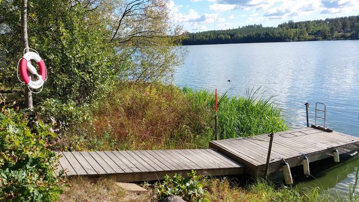 Mys i stuga  med fin natur vid sjö och skog - Bild 12