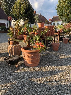 Villa med pool på Österlen - Bild 11