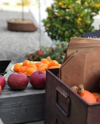 Villa med pool på Österlen