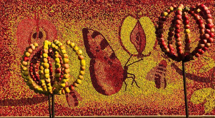 Villa med pool på Österlen - Bild 9