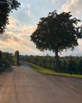 Villa med pool på Österlen - Bild 6