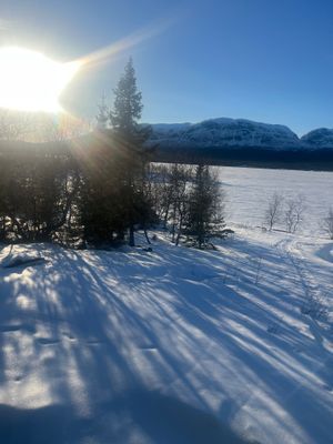 Stuga med fjäll- och sjöutsikt, bastu, och kamin - Bild 39