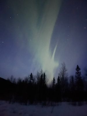 Stuga med fjäll- och sjöutsikt, bastu, och kamin - Bild 38