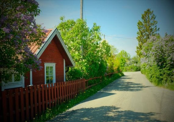 Skärgårdsidyll Gräddö - Bild 15