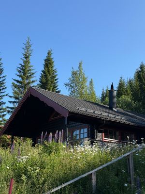 Bo i backen – stor fjällstuga i Klövsjö m. bastu - Bild 45