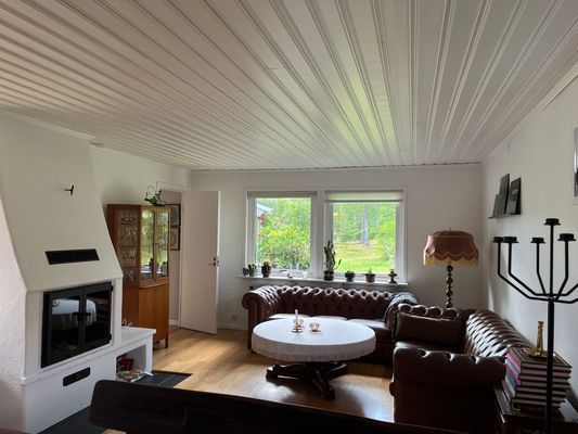Generös enplansvilla med bad, fiske och skog - Bild 6
