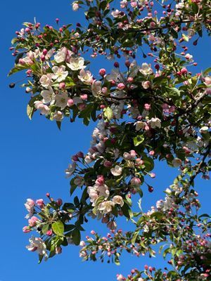 Radhus med bastu, 1-2 familjer - Bild 55