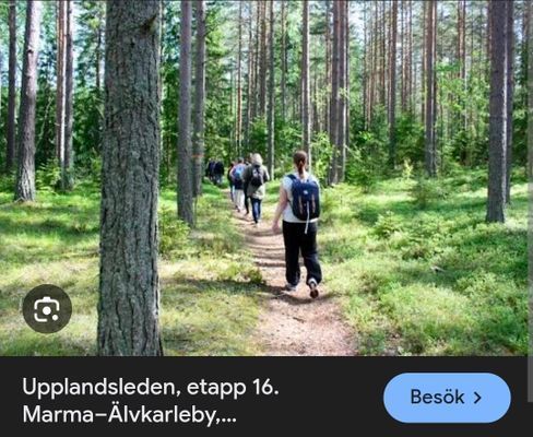 En idyllisk tillflykts plats vid sjön - Bild 68