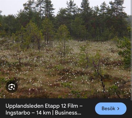 En idyllisk tillflykts plats vid sjön - Bild 63