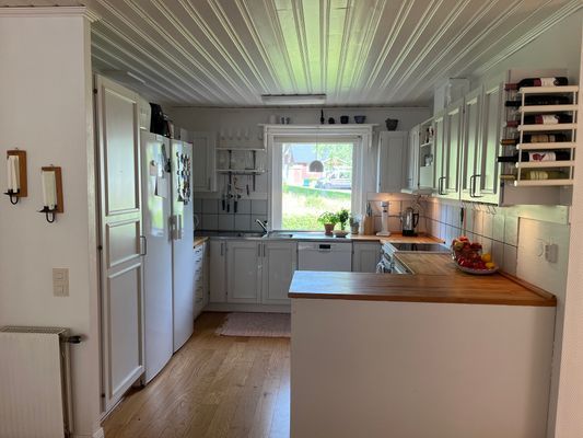 Generös enplansvilla med bad, fiske och skog