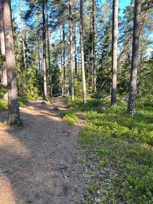 Radhus med bastu, 1-2 familjer - Bild 60