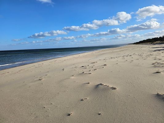 Stuga med skogs utsikt och nära till stranden