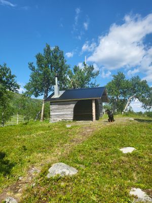 Mysigt fjällhus i Jämtland - Bild 32