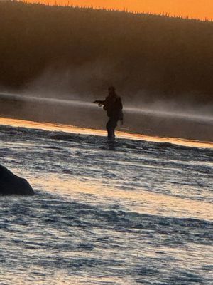 Fjällstuga Storhogna - Bild 23