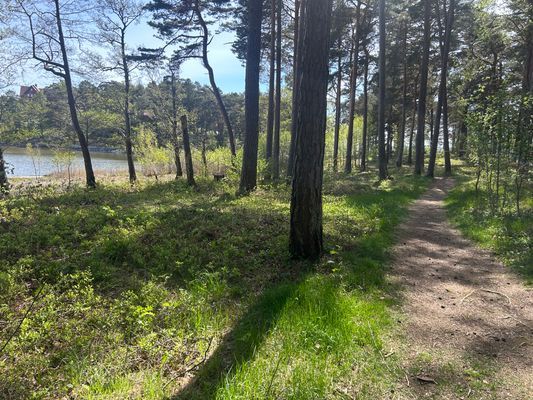 Bedårande hus i underbart naturläge vid havet - Bild 18