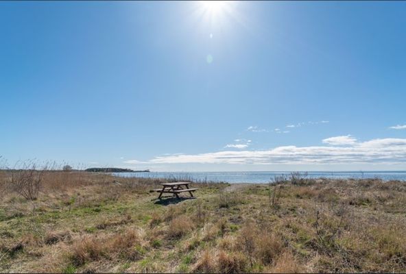 Sommar idyll på Sydvästra Öland - Bild 14