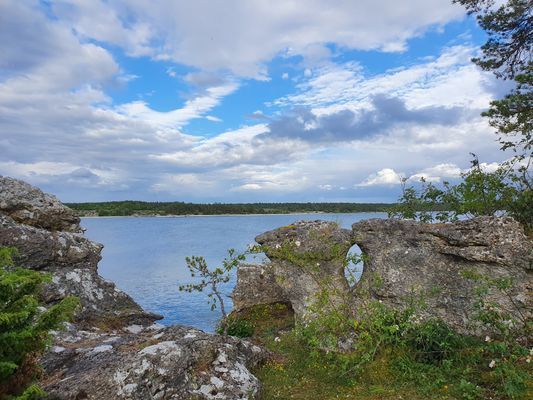 Totalt lugn - 300 m från underbar sandstrand - Bild 18