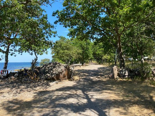 Mysigt hus i Golfbyn, Ekerum Öland - Bild 17